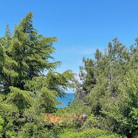 Valtrazza * Novigrad Istria